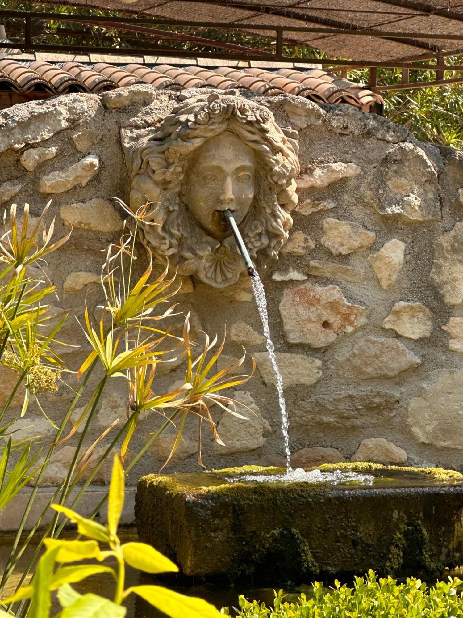 Mas Des Bambous Hotel Saint-Rémy-de-Provence Exterior foto