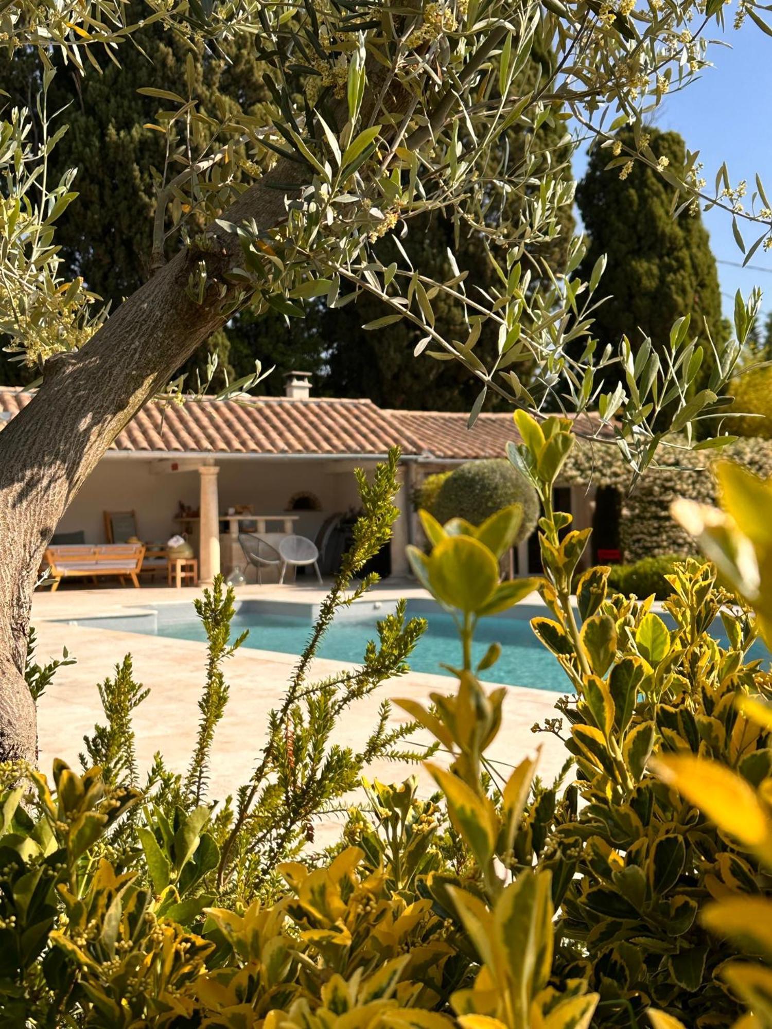 Mas Des Bambous Hotel Saint-Rémy-de-Provence Exterior foto