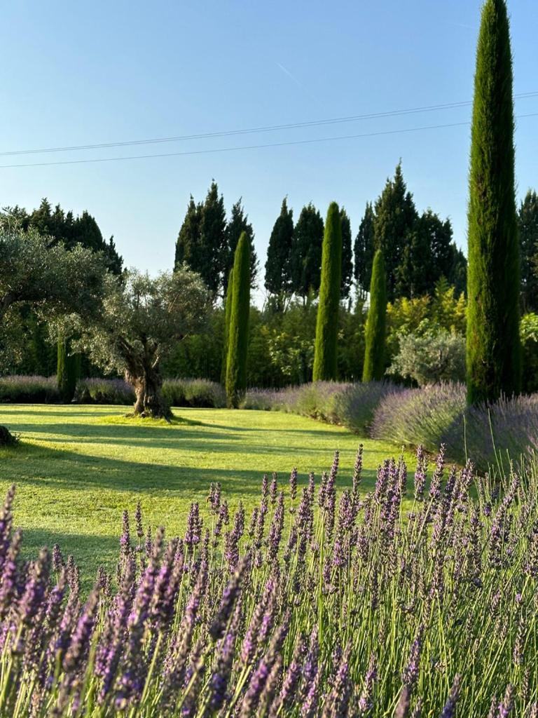 Mas Des Bambous Hotel Saint-Rémy-de-Provence Exterior foto