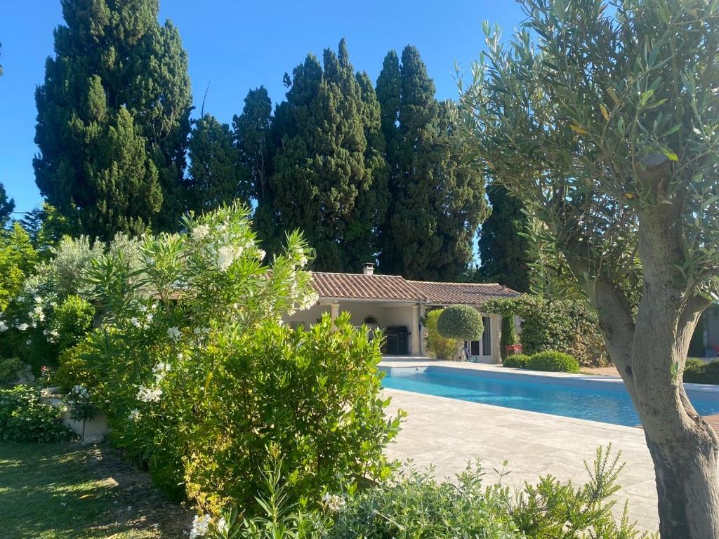 Mas Des Bambous Hotel Saint-Rémy-de-Provence Exterior foto